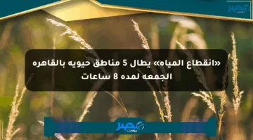 «انقطاع المياه» يطال 5 مناطق حيوية بالقاهرة الجمعة لمدة 8 ساعات